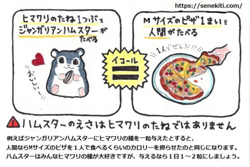 ハムスターとヒマワリの種