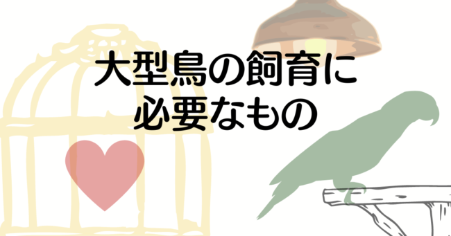 大型鳥　飼育