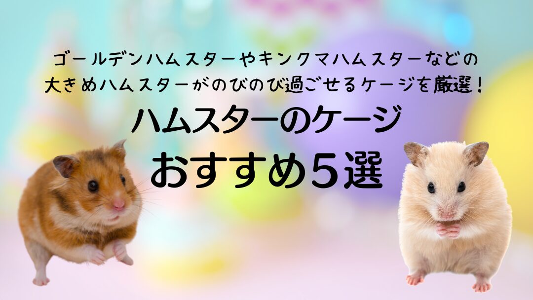 ゴールデンハムスター　ケージ